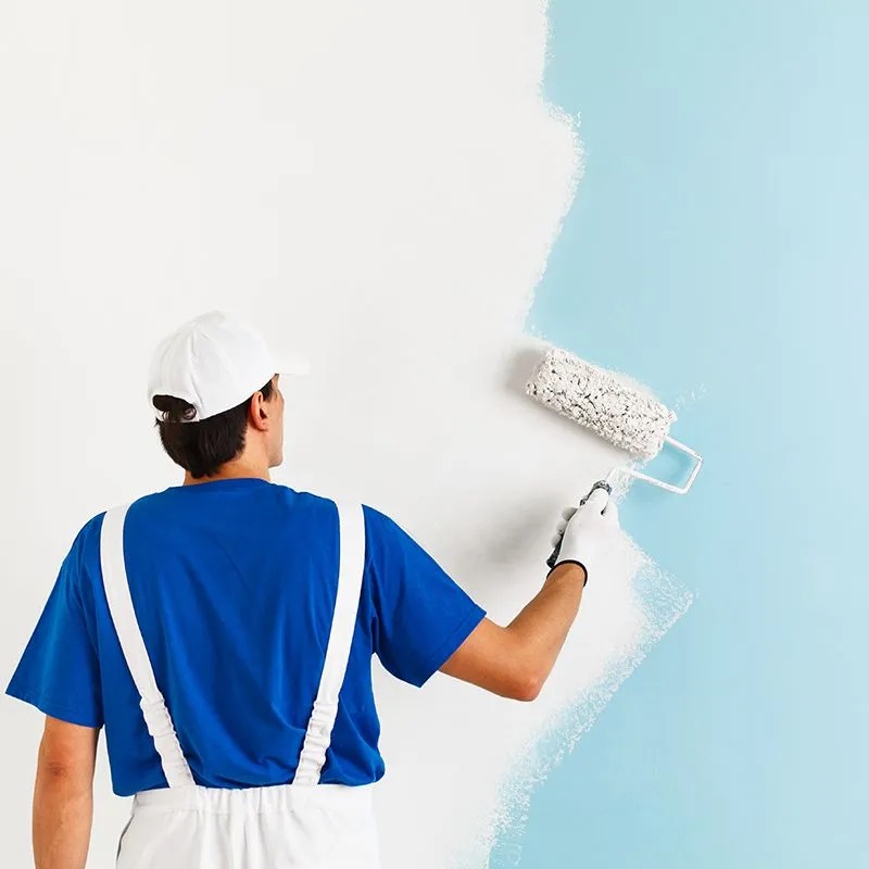 Pasaport iç cephe boyama